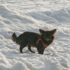 ����: �� ��������