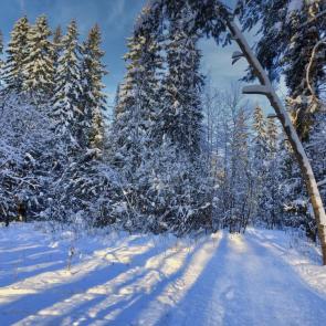 ����: ���������� ���