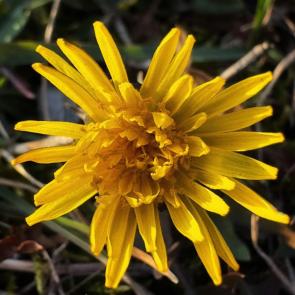 ����: ������