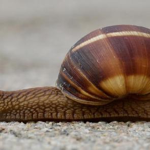 ����: �� ������