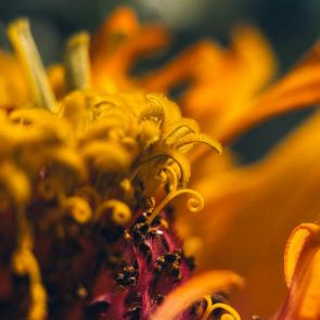 ����: ��������� ������ 