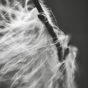 ���� ��������: 