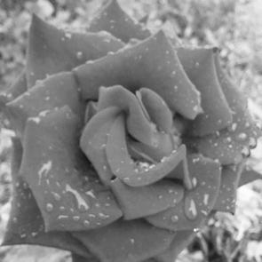 ����: ���� ����