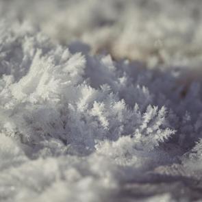 ���� ��������: �������