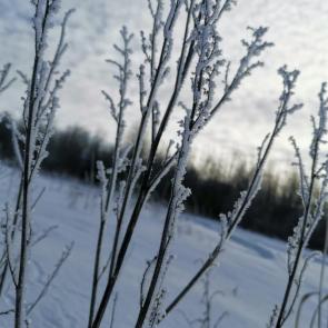 ���� ��������: 