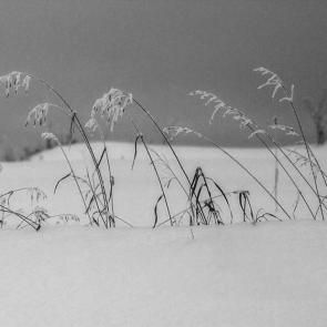 ���������� ���������������