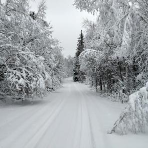 ����: ���� ������� ������