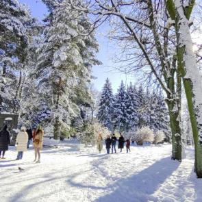 ����: �������� � ����