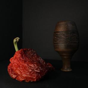 ����: ������