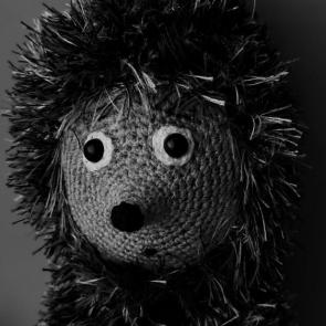 ����: ������