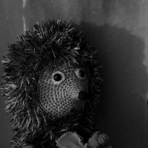 � ����������� �����