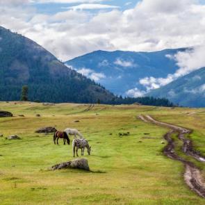 ���� ��������: ���� � �����