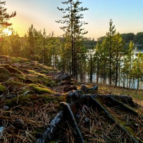 ���� ��������: ������ �����