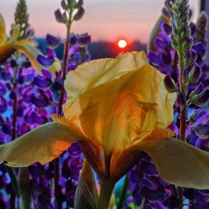 ����: Ƹ���� ����