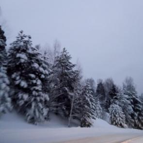 ����: ������ ������