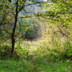 ���������� ������� �������