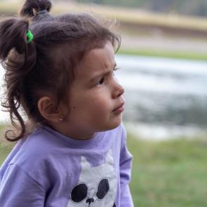 ���� �������