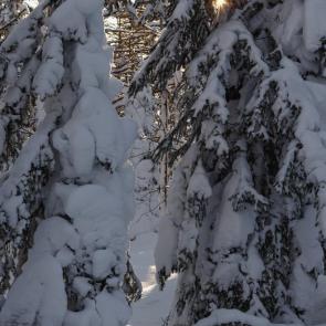 ����: ������ � ���� 