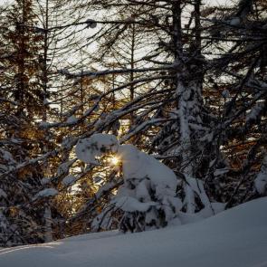 ����: ���� ������ � ������ ����