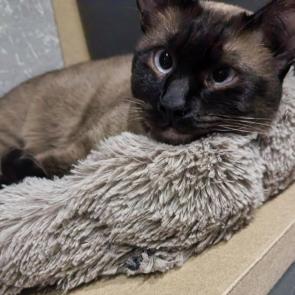 ����:  ������� � ����� �������� ��������!