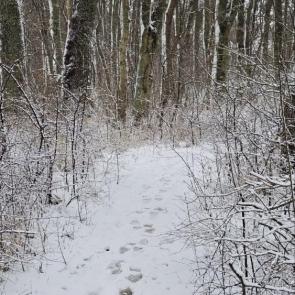 ���������� �� ���� ����