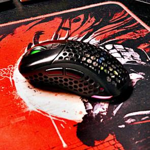 ������ ����