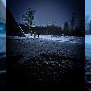 ����: �� ������� ���� 