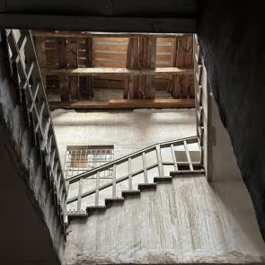 ����: ������ ����