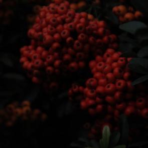 ���������� ������� �������