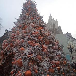 ����: ��� � ����