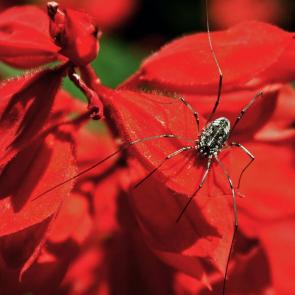 ������������ �����