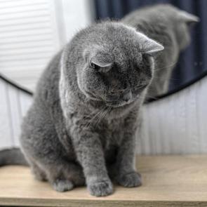 ����: �� ������ ���� ���