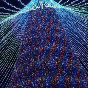 ����: ������, ������ � ��� ���� ��������