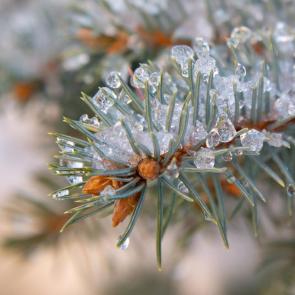 ���������� �� ���� ����