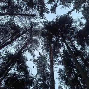 ����: ��� ����� �����