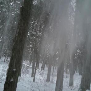 ���������� �� ���� ����