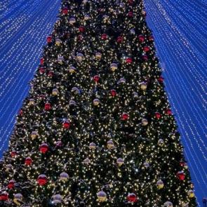 ����: ���������� ��������� 