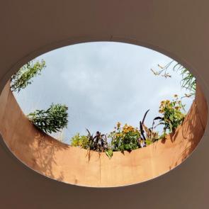 ����: ������� �� ����