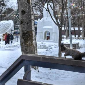 ����� � ������