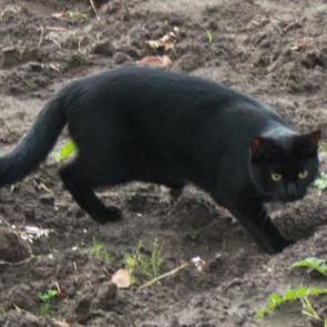 ����: ����� � ������.