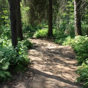 ����: ����� ��������.