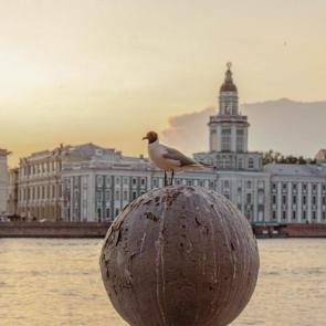 ����: ��������� ����� � ����� ))