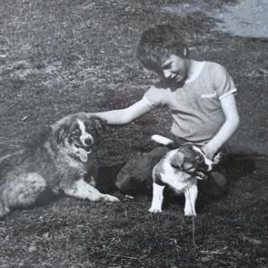 ���� ��������: ������.