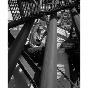 ����: ������