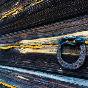 ������ ����