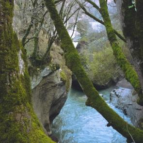 ����: ������ - ����