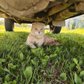 ����: � ���� ������ ������� 