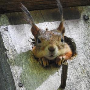 ����: ���-��� � ��������� ����