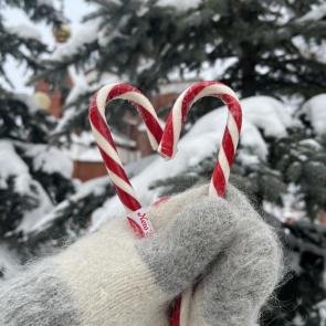 ���������� �� ���� ����