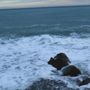 ����: ������������ ���� 